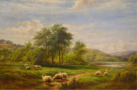 Sheep Grazing in Lush Pastures