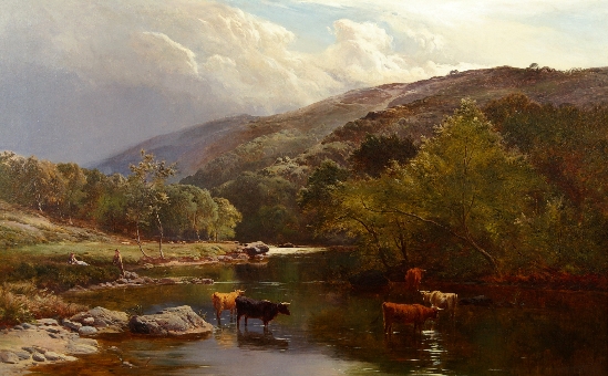 Cattle Watering in the River Lyn, North Wales