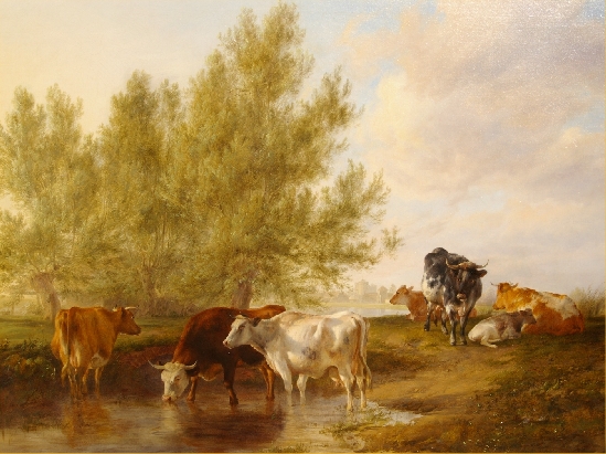 Cattle Watering