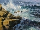 Turning Tide, Sennen