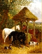 On the Farm