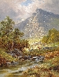 Deer Grazing by a Highland Stream