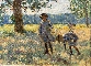 La Cueillette Des Fleurs
