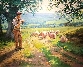 Herding Along A Country Lane