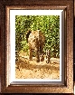 Elephant Mother and Baby