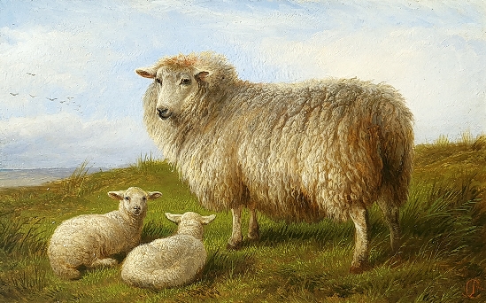 Charles Jones - Sheep Resting
