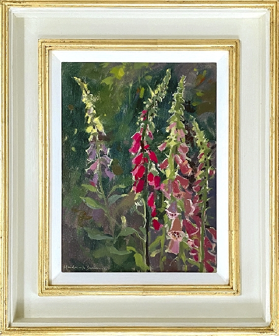 Haidee-Jo Summers ROI RSMA - Backlit Foxgloves at Russell House