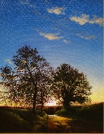 Evening Glow