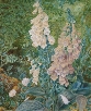 Polyanthus
