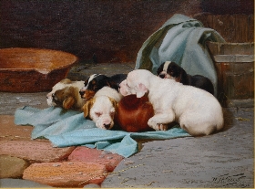 Pups Slumber