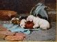 Pups Slumber