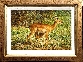 Impala Mother and Calf