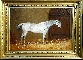Horse in Stable
