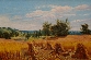 A Rest from the Harvest