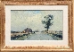 The Lone Tree