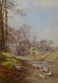 Watching the Geese