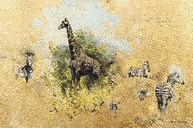 Studies of Zebra and Giraffe