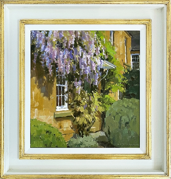 Wisteria at Picton House