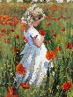 Amongst the Poppies