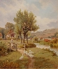 Feeding the Ducks