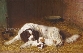 Maternal Affection