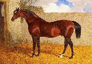 'Partisan' in a Stable Yard (1830)