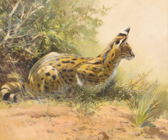 Frank Wootton - Serval Cat