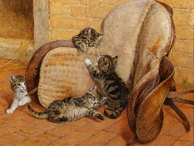 Kittens Playing Around a Saddle