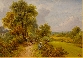 Summers Pastures