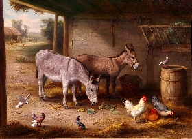 Barnyard Companions