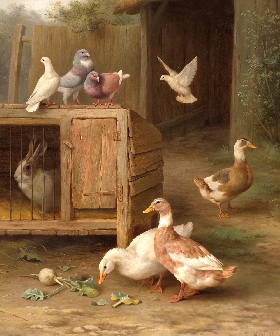 Farmyard Friends