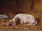 Whilst the Sleeping Dog Lies