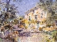Lumiere Tachetee, Provence