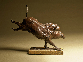 Bronking Boar
