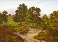 Gravel Pits near Warlingham, Surrey